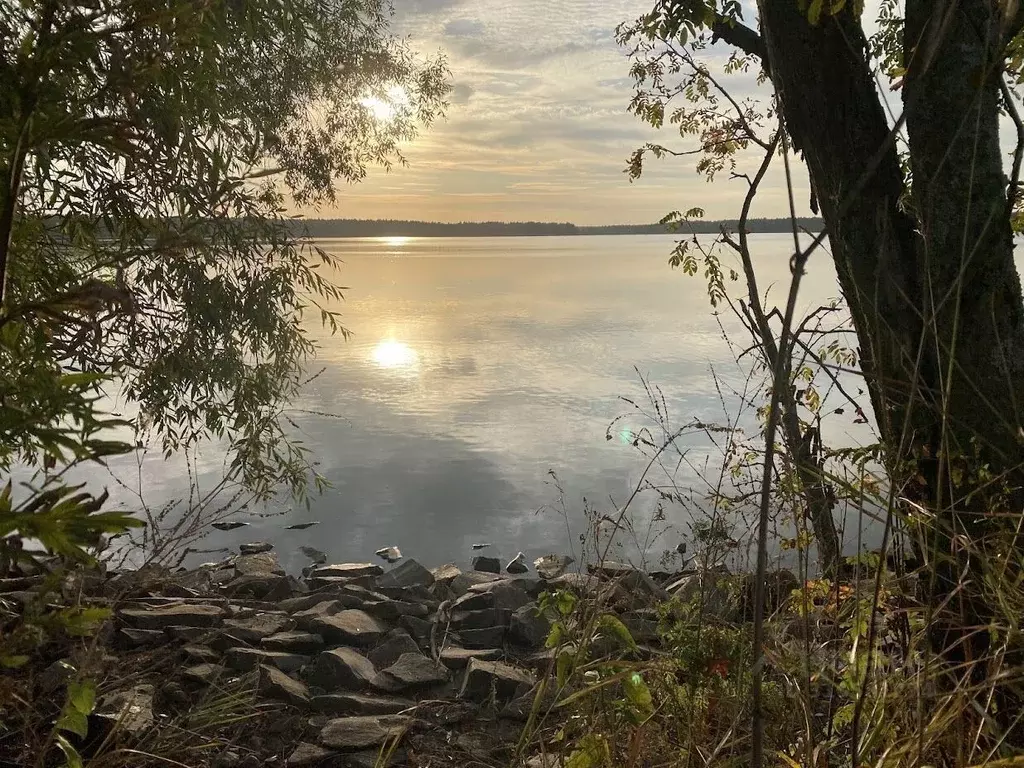 Участок в Московская область, Талдомский городской округ, д. Мякишево  ... - Фото 0