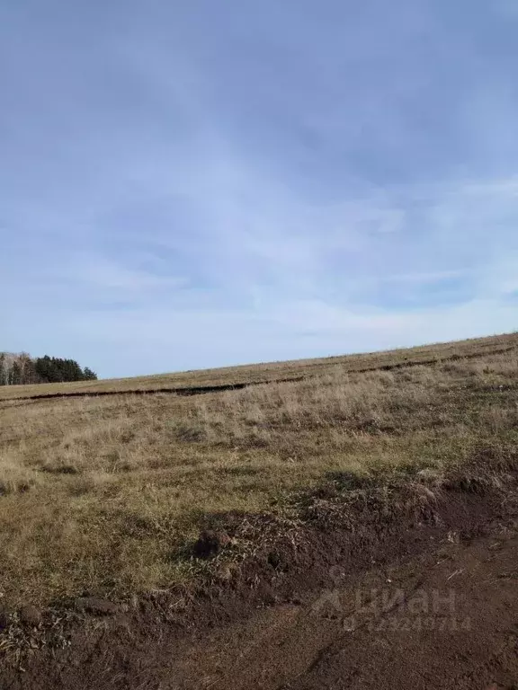 Участок в Красноярский край, Сосновоборский муниципальный округ, д. ... - Фото 2