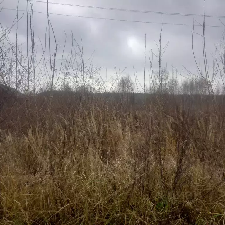 Участок в Пензенская область, Лунинский район, с. Большой Вьяс ... - Фото 2