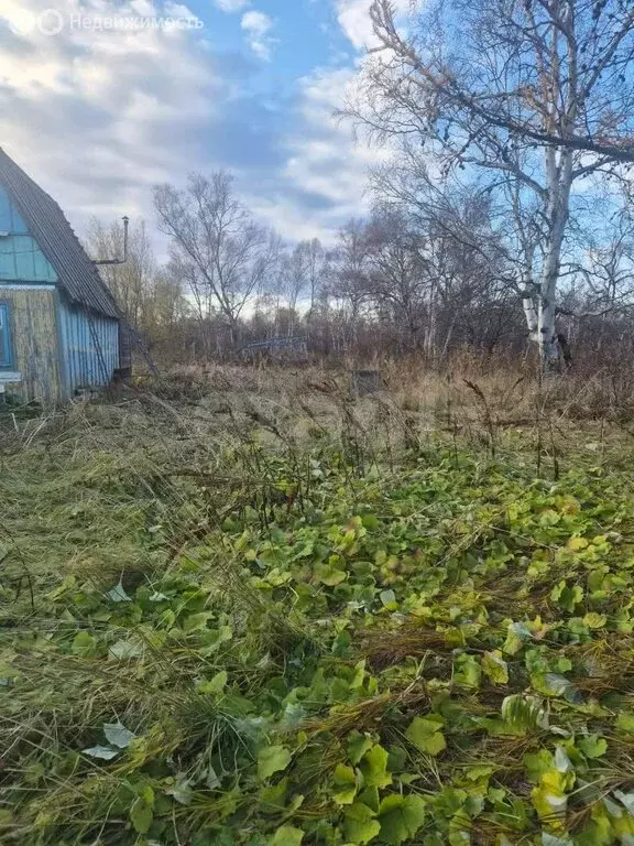 Участок в Камчатский край, Елизовский муниципальный округ, посёлок ... - Фото 1