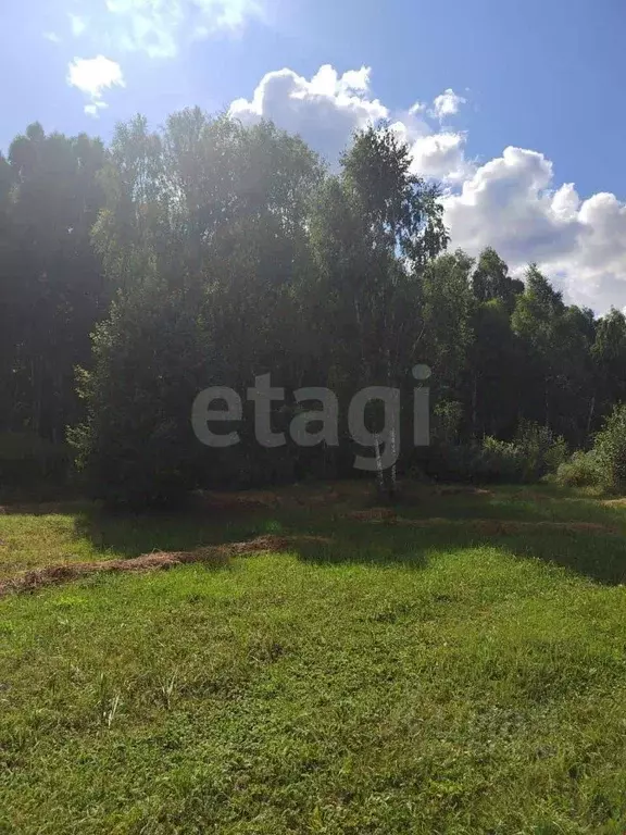 Участок в Тюменская область, Нижнетавдинский муниципальный округ, ... - Фото 1