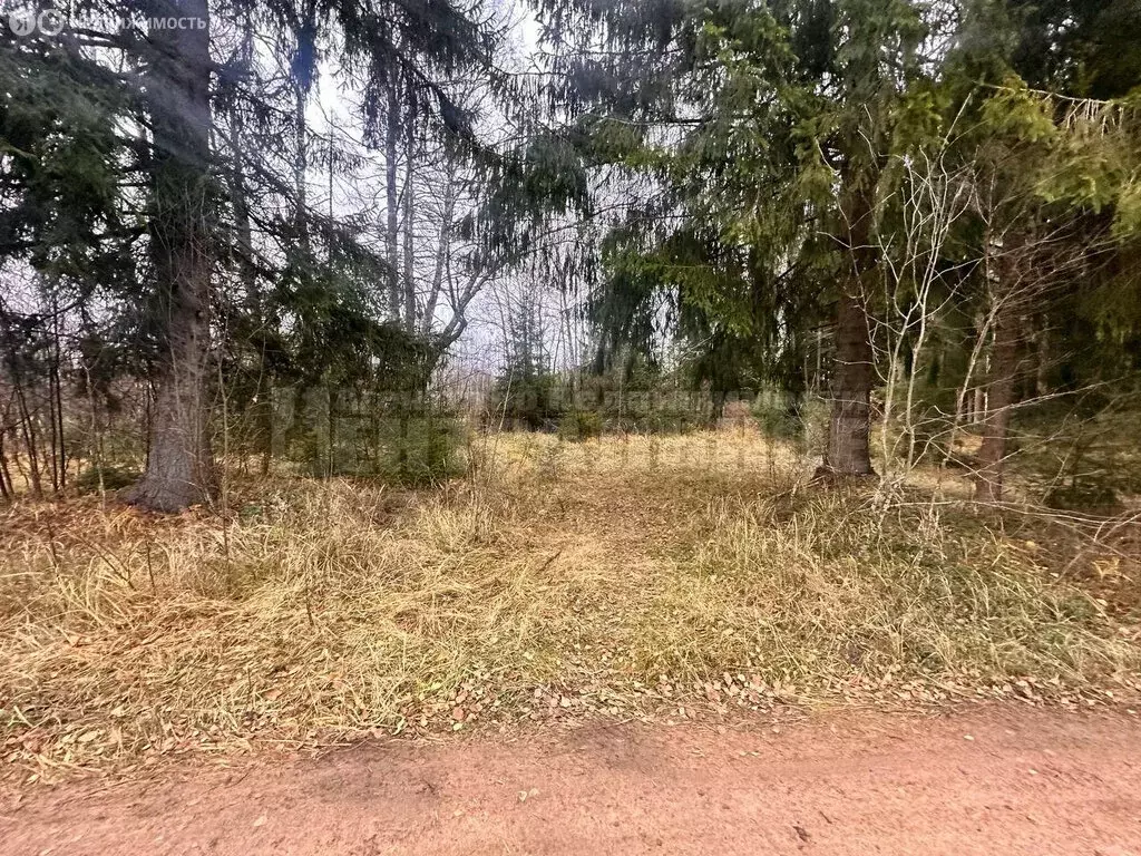 Участок в Смоленская область, Рославльский муниципальный округ, ... - Фото 1