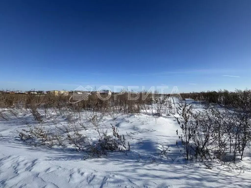 Участок в Тюменская область, Тюменский муниципальный округ, с. Борки ... - Фото 1