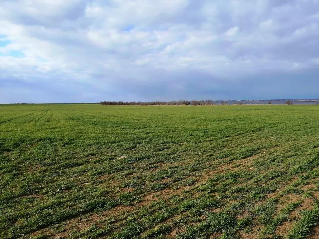 Участок в Крым, Сакский район, с. Штормовое  (8.2 сот.) - Фото 1