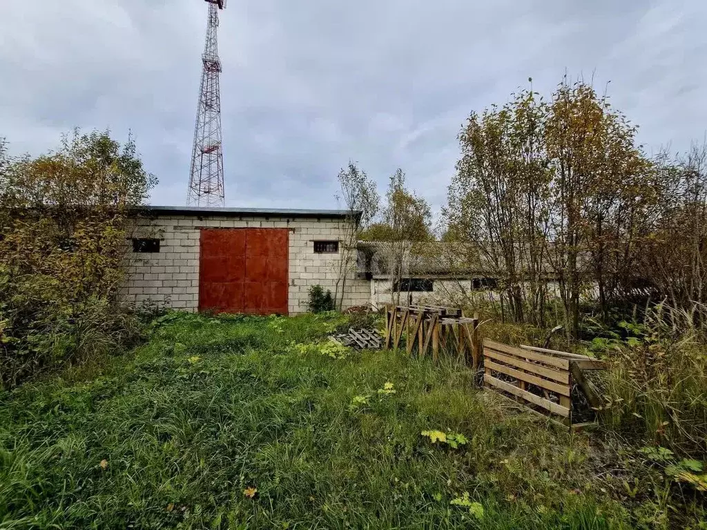 Помещение свободного назначения в Смоленская область, Красный пгт ул. ... - Фото 0