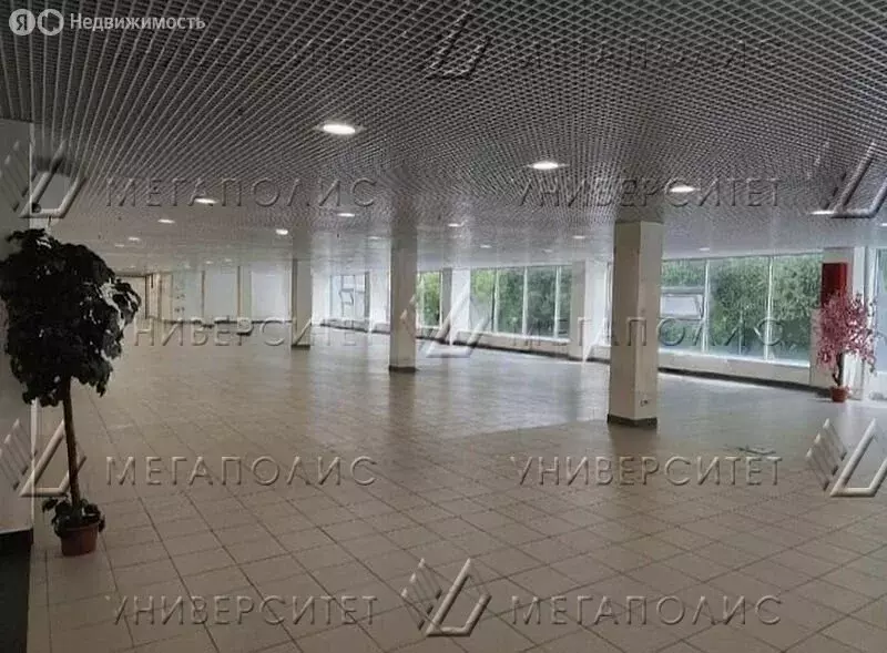 Помещение свободного назначения (300 м) - Фото 0