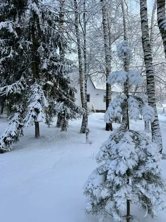 Дом в Московская область, Раменский городской округ, Елочка СНТ  (80 ... - Фото 0