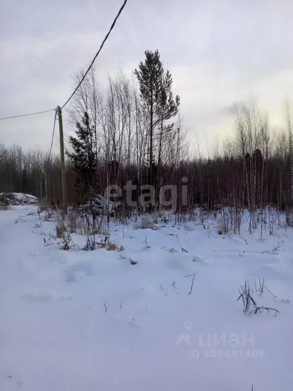 Участок в Ханты-Мансийский АО, Ханты-Мансийск Коммунальник СОТ,  (10.0 ... - Фото 1