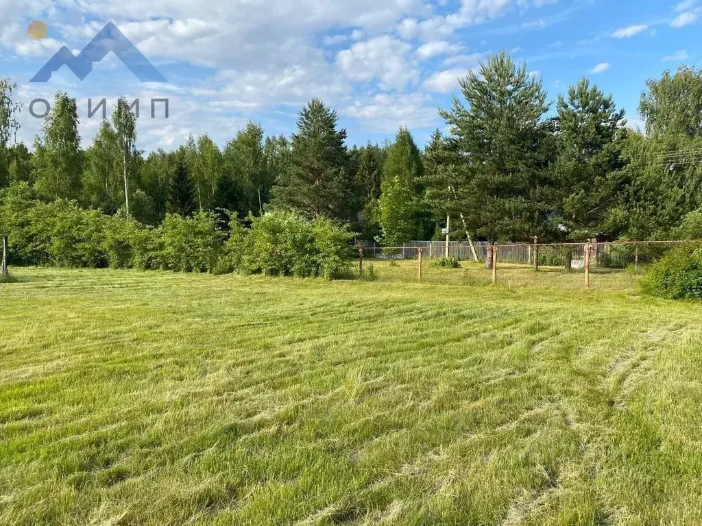 Участок в Ярославская область, Некрасовское с/пос, с. Новодашково ул. ... - Фото 1