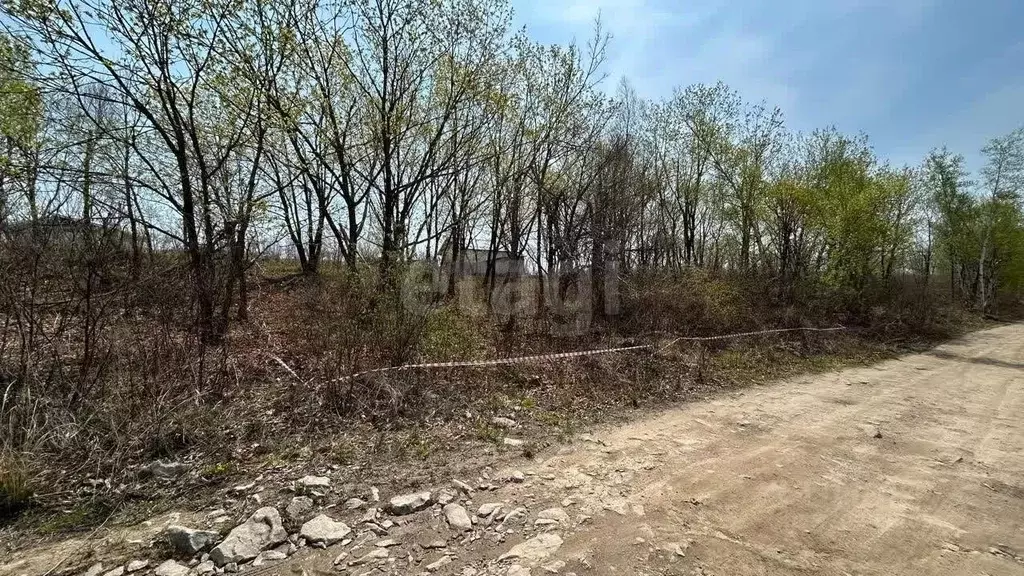 Участок в Приморский край, Артем Ландыш садовое товарищество, 94 (10.0 ... - Фото 1