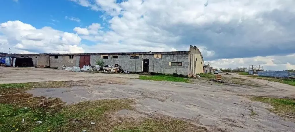 Производственное помещение в Московская область, Богородский городской ... - Фото 1