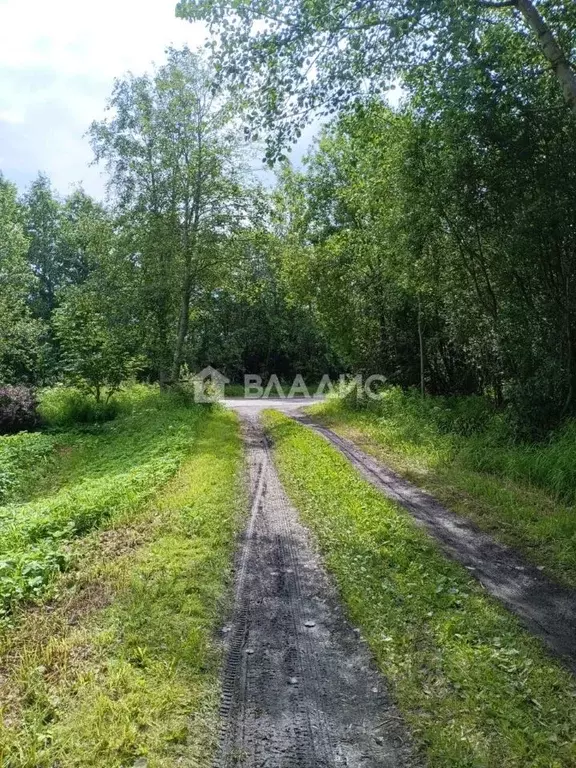 Участок в Ленинградская область, Всеволожский район, Лесколовское ... - Фото 1