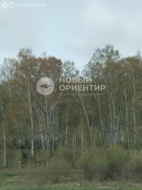 Участок в село Горный Щит, Красная улица (7.5 м) - Фото 0