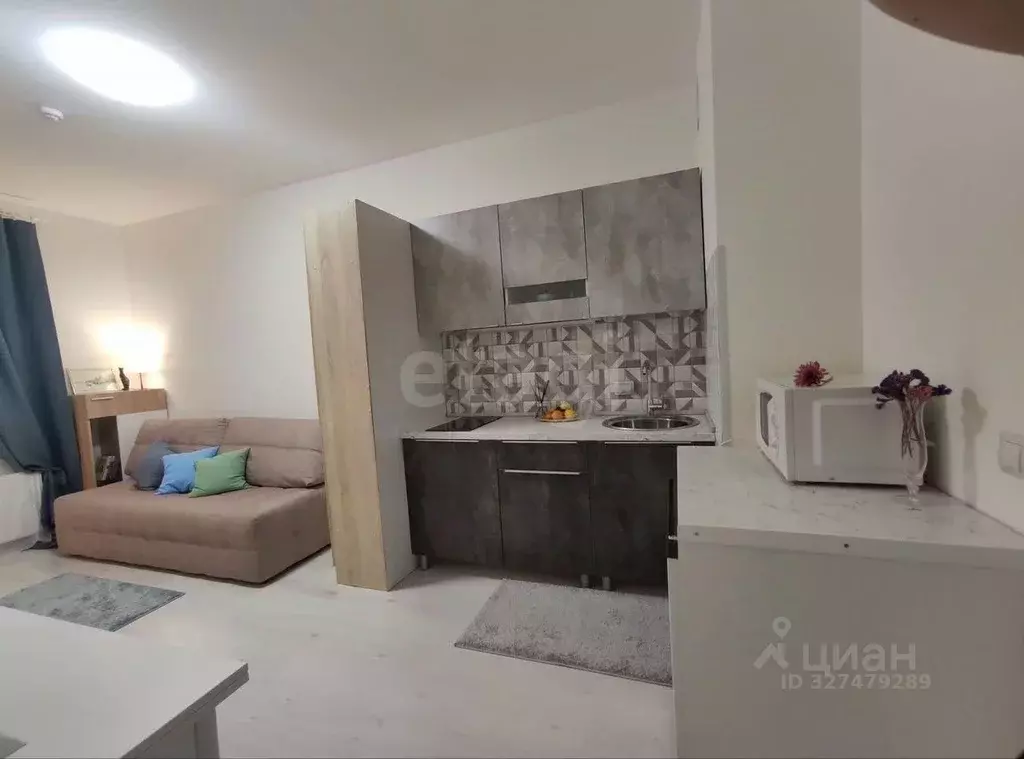 Студия Санкт-Петербург Белевский пер., 8 (24.0 м) - Фото 1