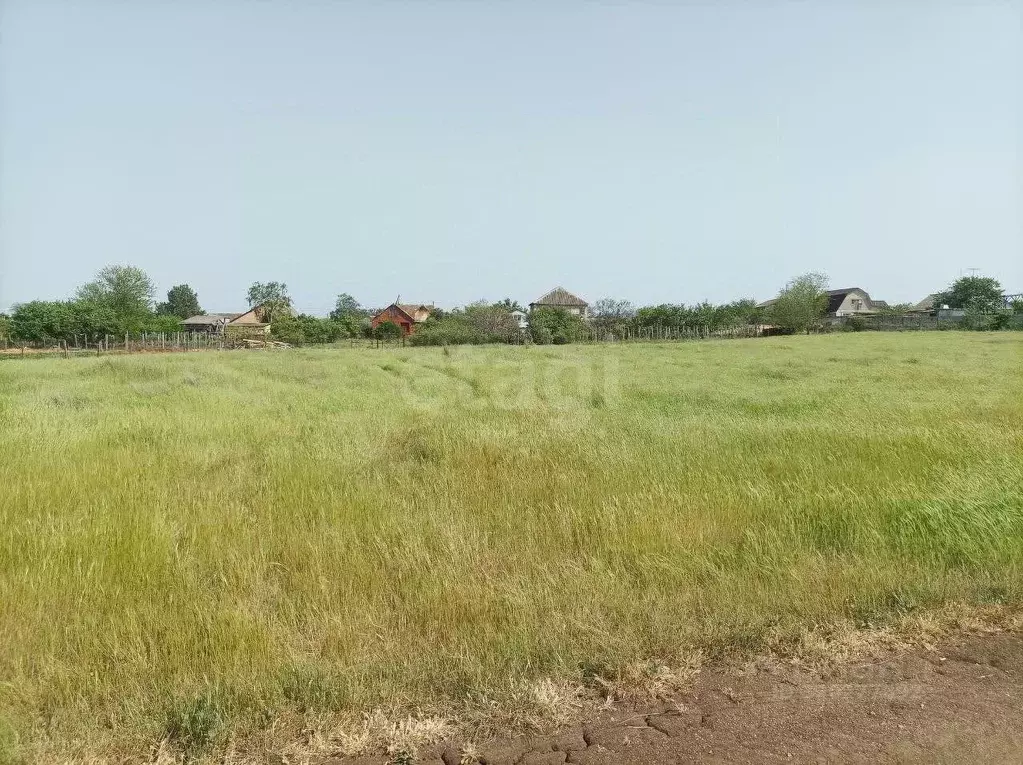 Участок в Крым, Кировский район, с. Владиславовка ул. Крымская (15.95 ... - Фото 0