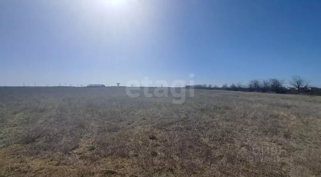 Участок в Крым, Сакский район, Молочненское с/пос, с. Витино  (5.07 ... - Фото 1