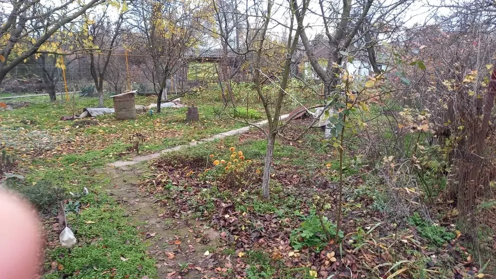 Участок в Ростовская область, Ростов-на-Дону Путеец садовое ... - Фото 1