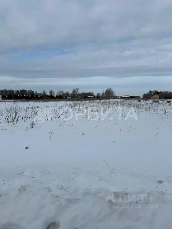 Участок в Тюменская область, Тюменский район, д. Черная Речка  (200.0 ... - Фото 0