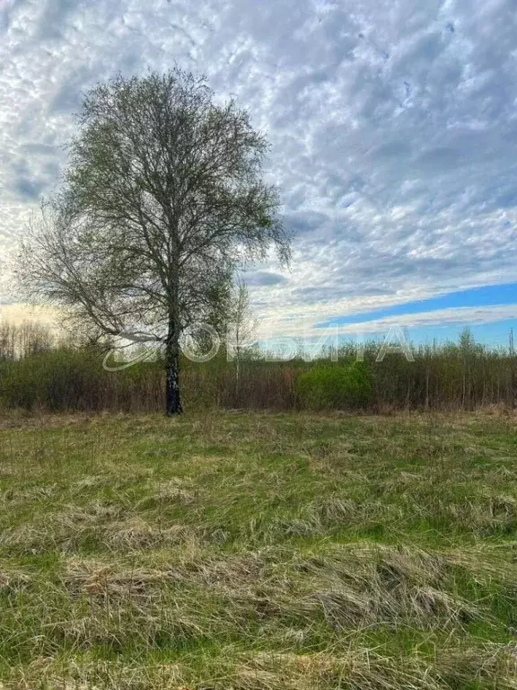 Участок в Тюменская область, Тюмень Русь садовое товарищество, ул. ... - Фото 1