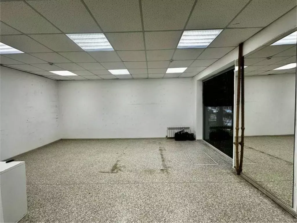 Помещение свободного назначения в Самарская область, Самара ул. ... - Фото 2