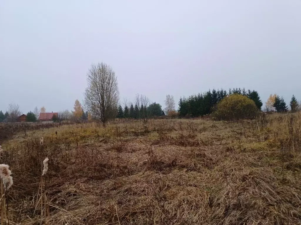 Участок в Московская область, Сергиево-Посадский городской округ, д. ... - Фото 0