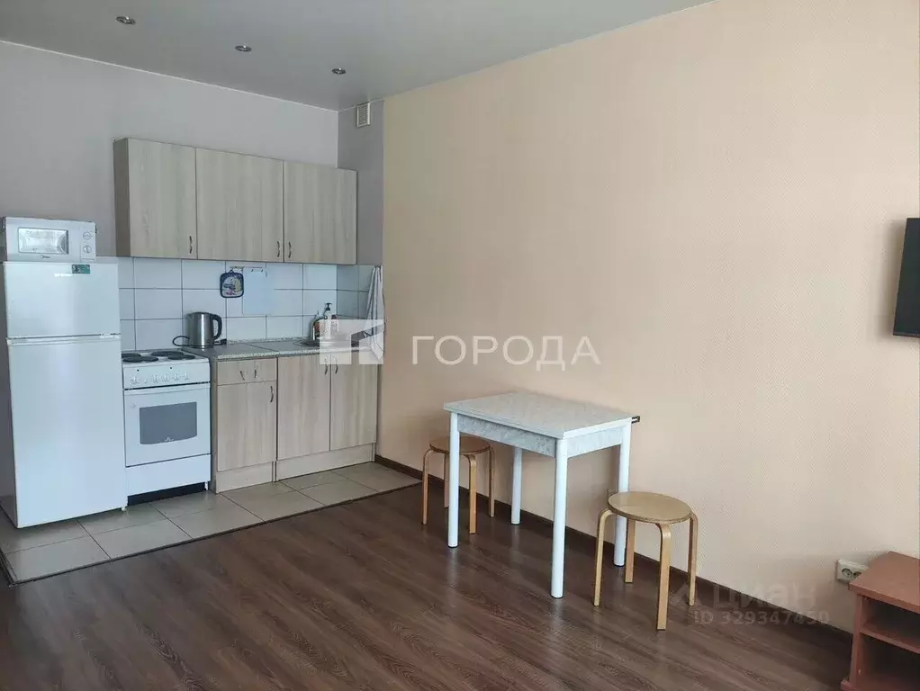 Студия Новосибирская область, Новосибирск Выборная ул., 154/2 (28.0 м) - Фото 1
