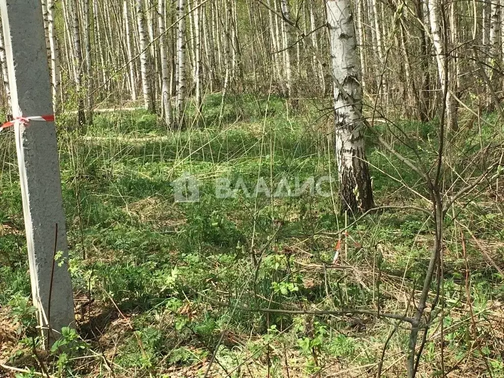 Участок в Владимирская область, Владимир Миловка СТ,  (20.0 сот.) - Фото 0