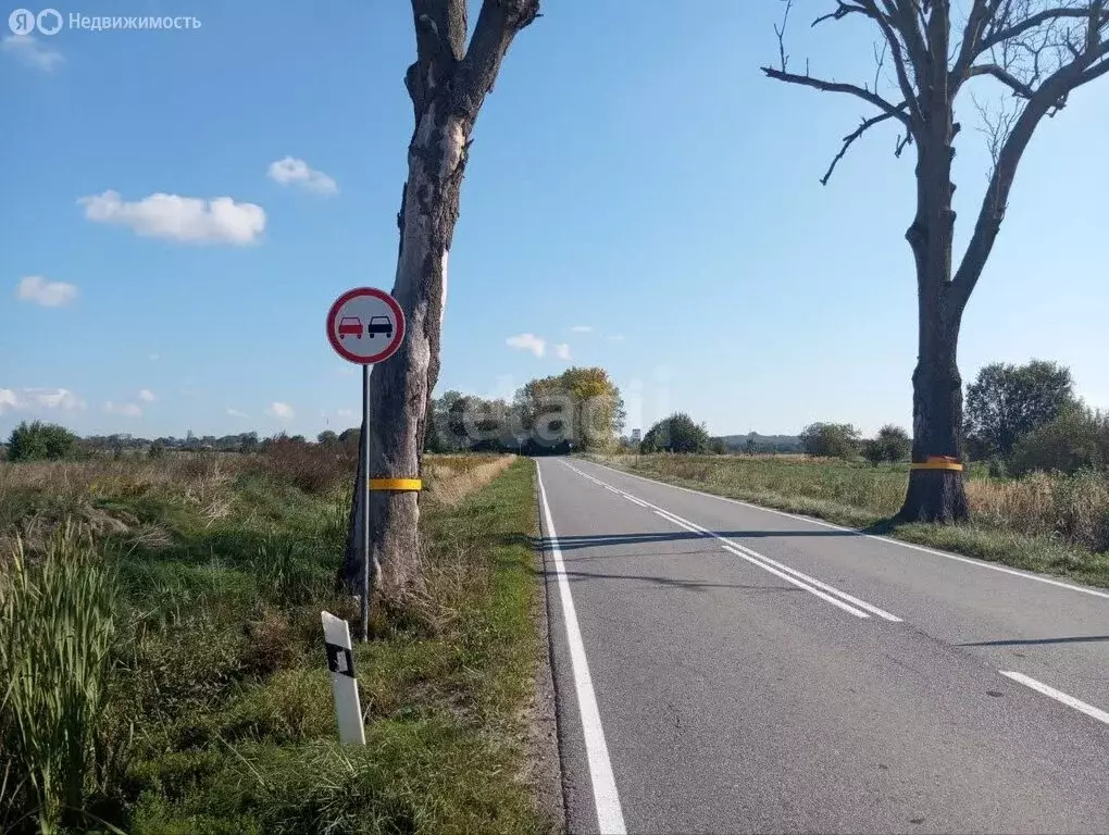 Участок в Калининградская область, Зеленоградский муниципальный округ, ... - Фото 2