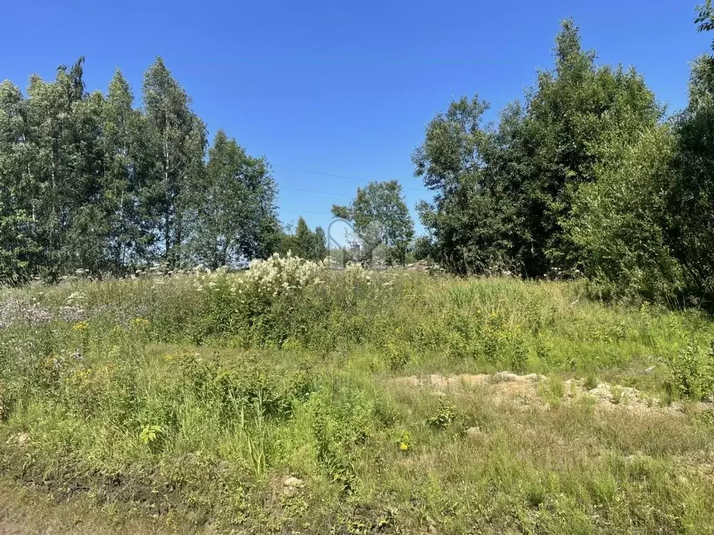Участок в Ленинградская область, Всеволожский район, Щегловское с/пос, ... - Фото 2