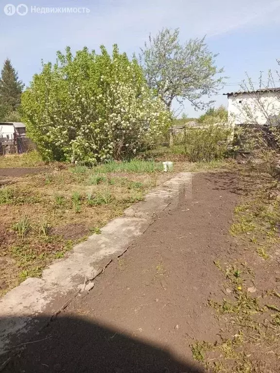Дом в муниципальный округ Омский район, СНТ Дружба, 3-я аллея (46 м) - Фото 2