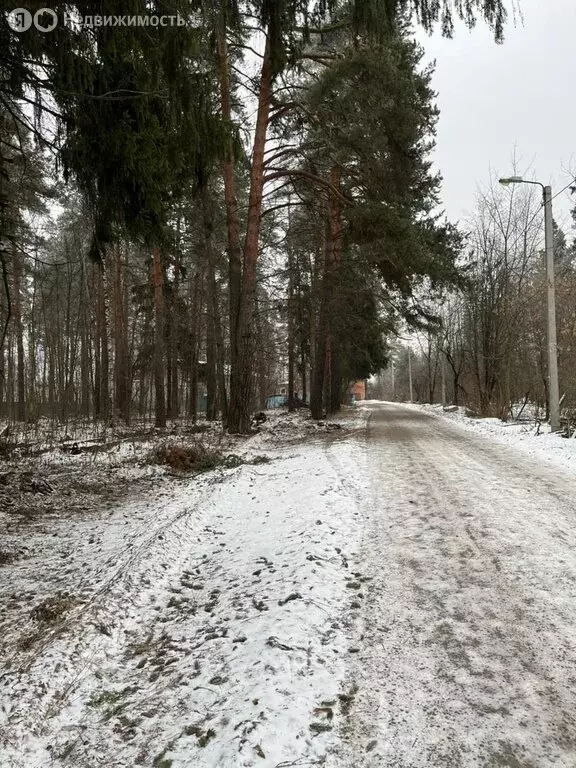 Участок в Московская область, городской округ Пушкинский, село ... - Фото 1