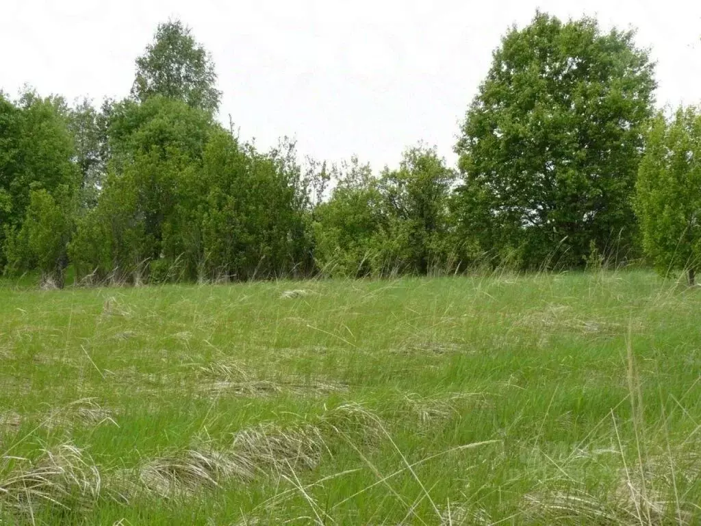 Участок в Московская область, Солнечногорск городской округ, д. ... - Фото 0