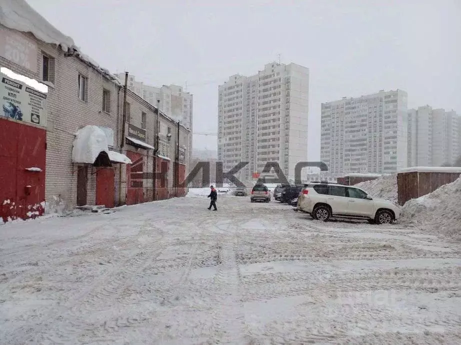 Торговая площадь в Ярославская область, Ярославль ул. Строителей, 20 ... - Фото 1