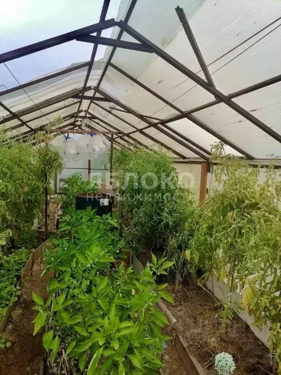 Дом в Пермский край, Березники № 43 СНТ, 41 (10 м) - Фото 1