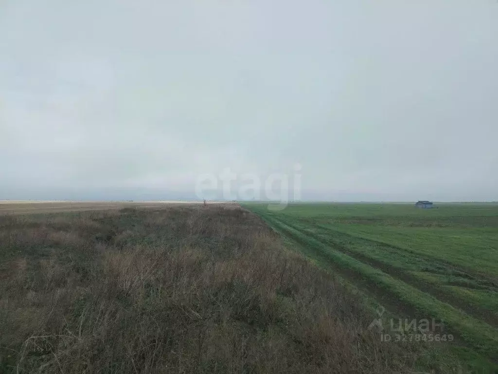 Участок в Крым, Ленинский район, Семисотское с/пос, с. Каменское пер. ... - Фото 1