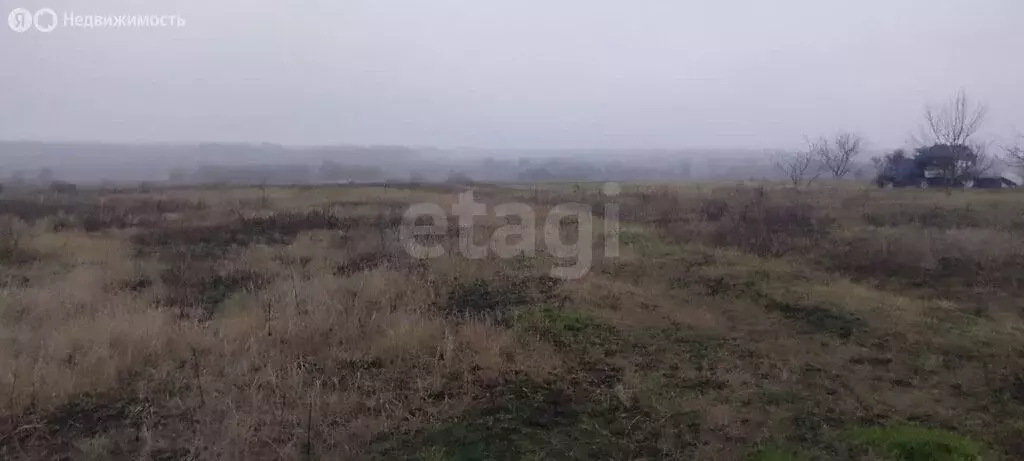 Участок в Прохоровский район, село Прелестное (35 м) - Фото 2