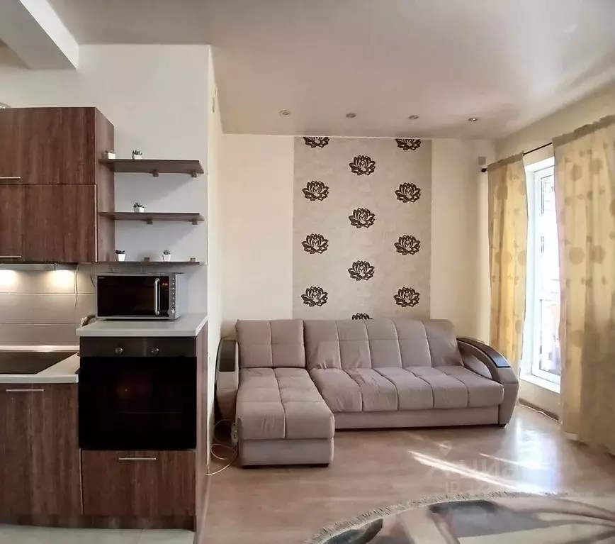 1-к кв. Московская область, Богородский городской округ, д. Щемилово ... - Фото 1