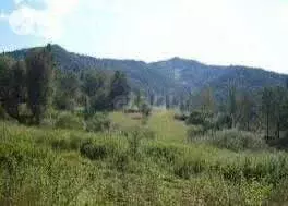 Участок в Чемальский район, село Бешпельтир (840 м) - Фото 2