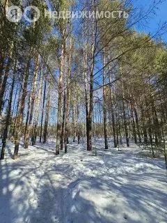 1-комнатная квартира: Пермь, улица Борцов Революции, 1А (27 м) - Фото 1