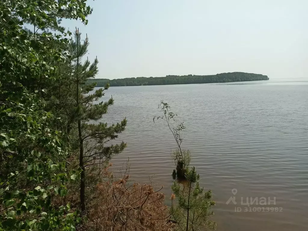 Участок в Нижегородская область, Сокольский городской округ, д. ... - Фото 1
