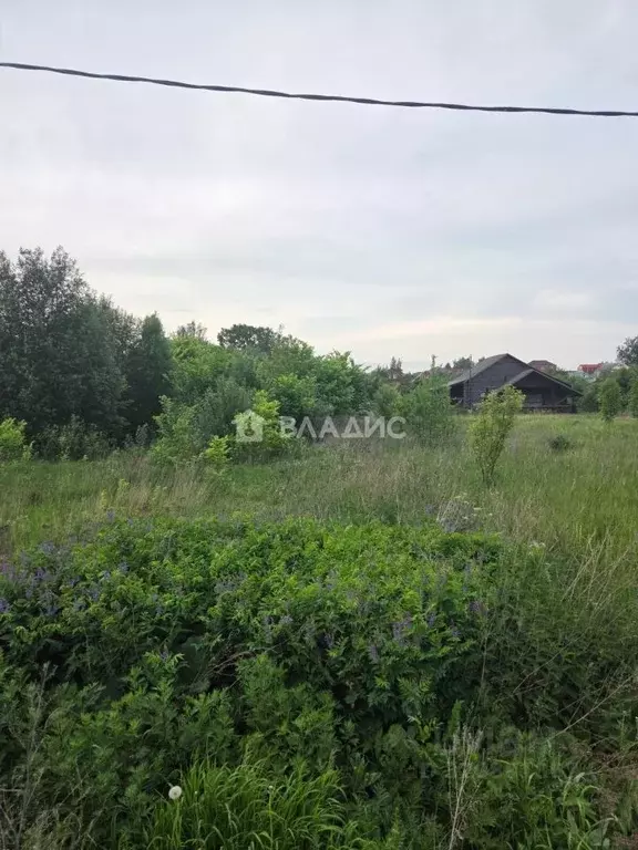 Участок в Владимирская область, Суздальский район, Павловское ... - Фото 0