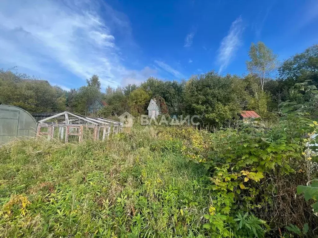 Участок в Ивановская область, Кохма Ключик-1 СНТ,  (4.3 сот.) - Фото 1