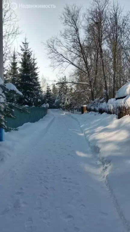 Участок в Московская область, муниципальный округ Чехов, деревня ... - Фото 2