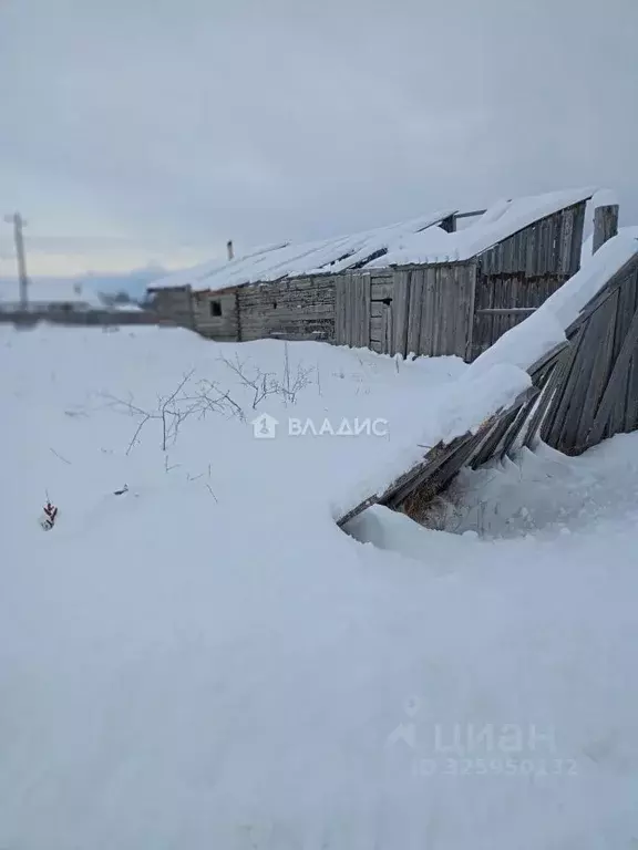 Участок в Бурятия, Баргузинский район, Усть-Баргузин пгт ул. ... - Фото 2