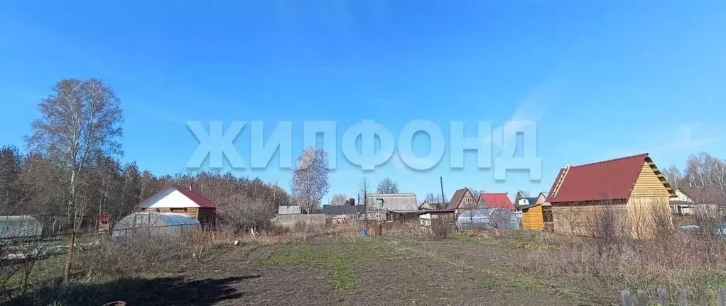 Участок в Новосибирская область, Новосибирский район, Толмачевский ... - Фото 0