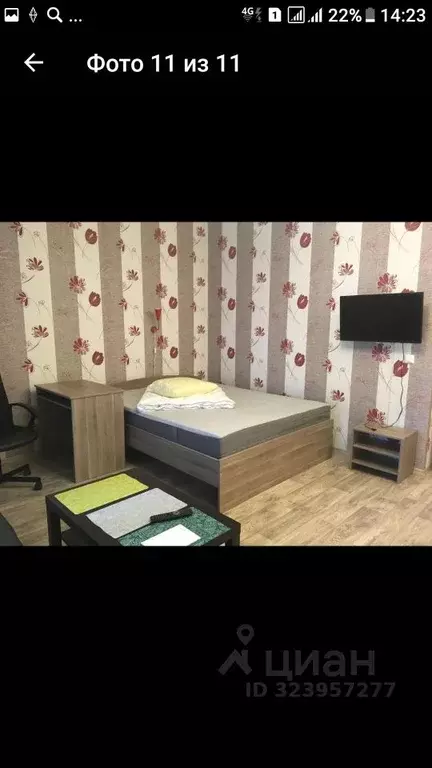 Студия Новгородская область, Великий Новгород Большая ... - Фото 1