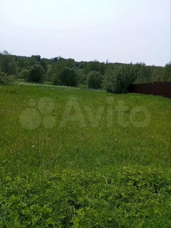 Участок 13 сот. (ИЖС) - Фото 0