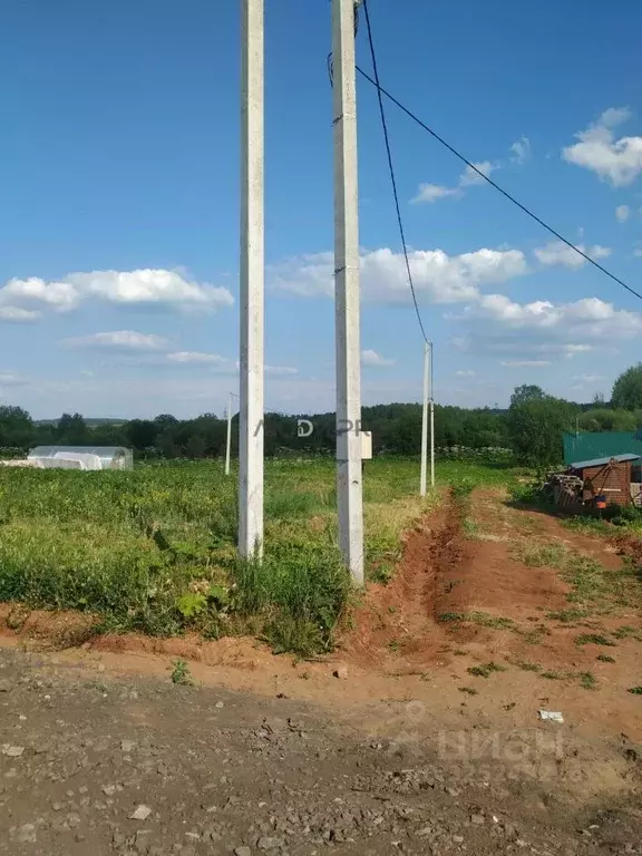 Участок в Кировская область, Кирово-Чепецкий район, Кстининское с/пос, ... - Фото 2