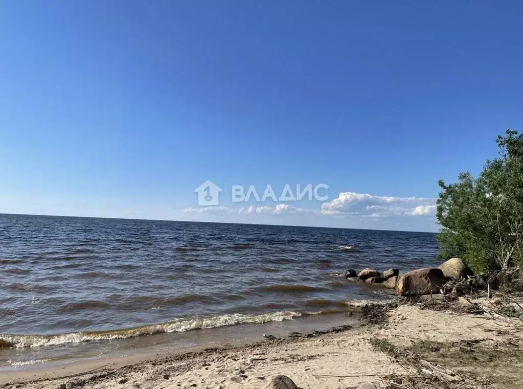 Участок в Ярославская область, Рыбинский муниципальный округ, д. ... - Фото 0