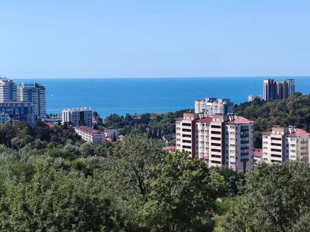 1-к кв. Краснодарский край, Сочи Яна Фабрициуса мкр, ул. Метелева, 6/3 ... - Фото 2